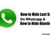 How to Hide Last Seen On Whatsapp & How to Hide Bluetick