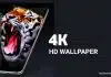 Enjoy Live Wallpapers as 4K Background Using This Best App! Live Wallpaper 4K Background