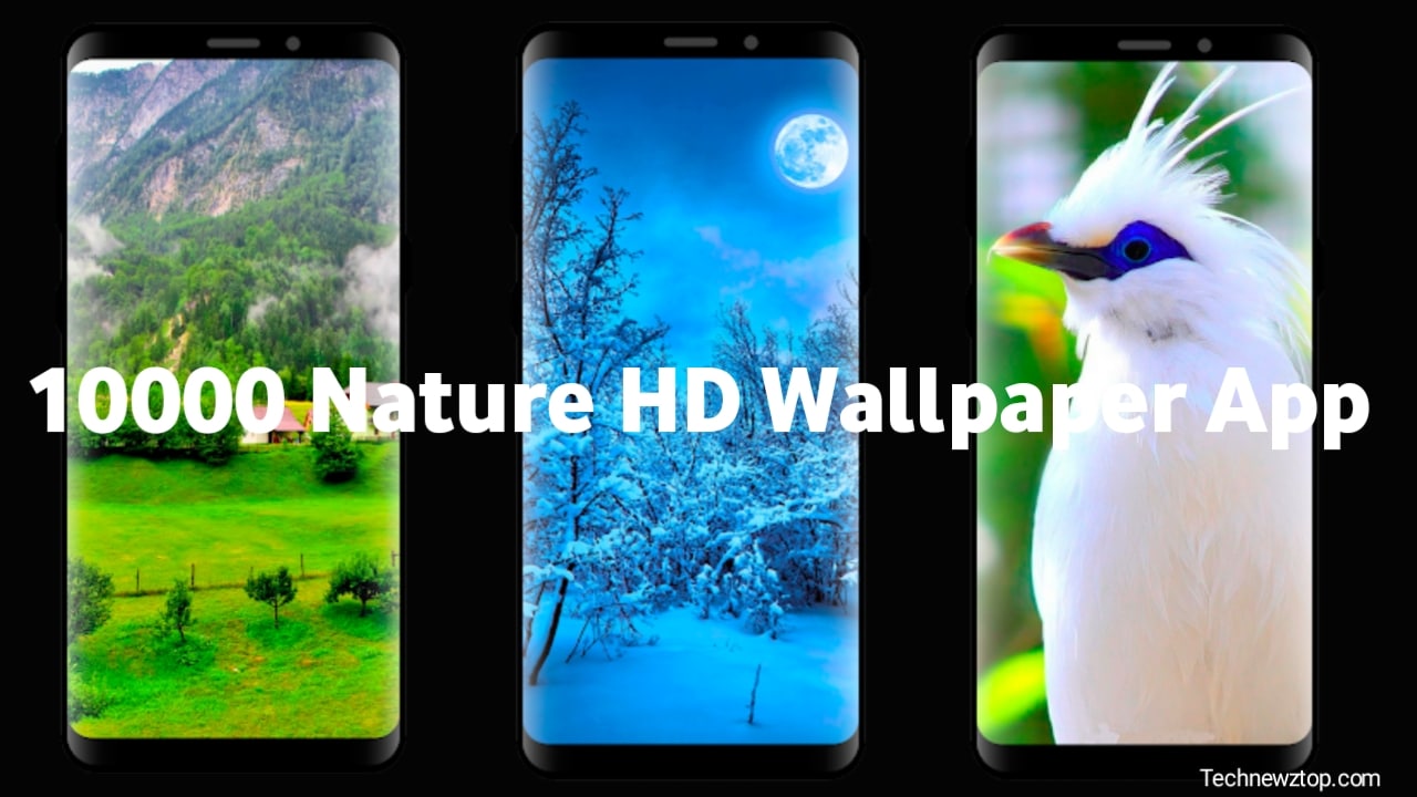 10000 Nature HD Wallpaper Android App Full Information