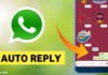 How to auto-reply on Whatsapp