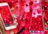 Explore The Best Red Rose Live Wallpapers Using This Android App! Red Rose Live Wallpaper