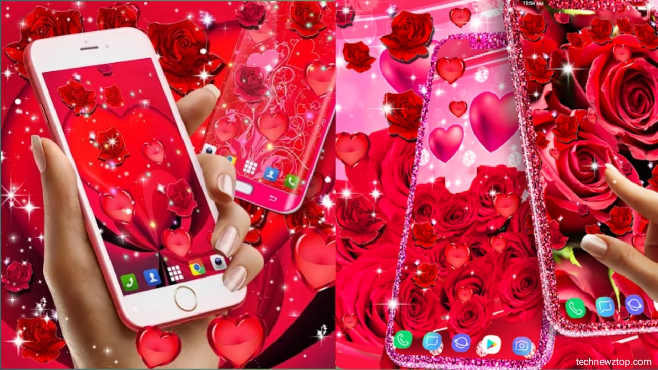 Red Rose Live Wallpaper Android App Full Information