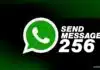 Send Message To 256 People Simultaneously On WhatsApp: Here’s How! Send Message 256 People