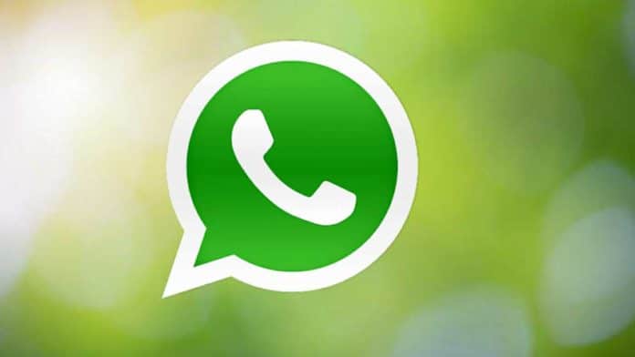 WhatsApp new share profile interface