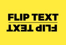 How to use Flip text