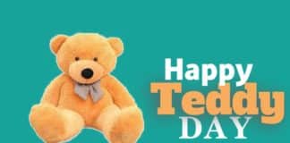 Happy Teddy Day 2022