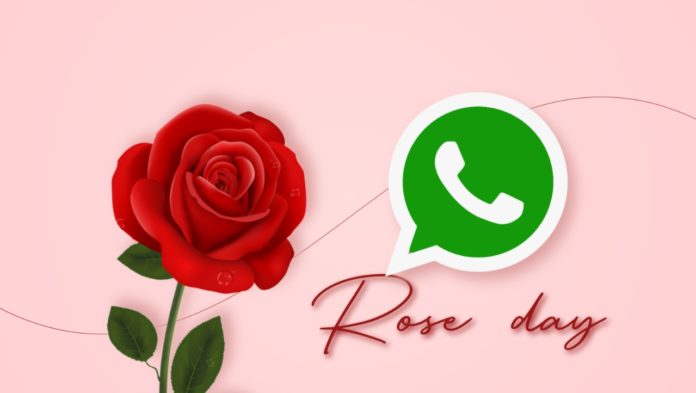 Send Rose Day sticker