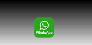 WhatsApp Report status update