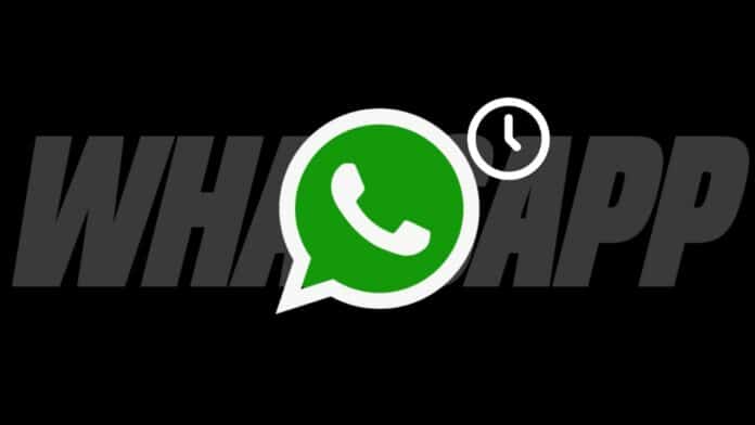 WhatsApp Beta Schedule Chat