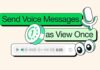 Send Voice Messages on WhatsApp