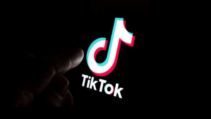 Download and Save TikTok Videos